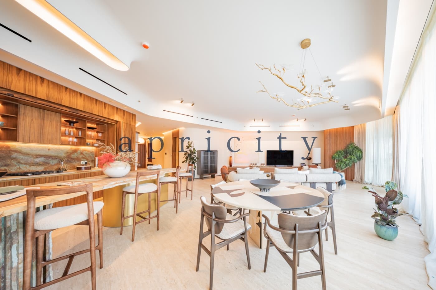 Show Apartment Ready | By Appointment Only