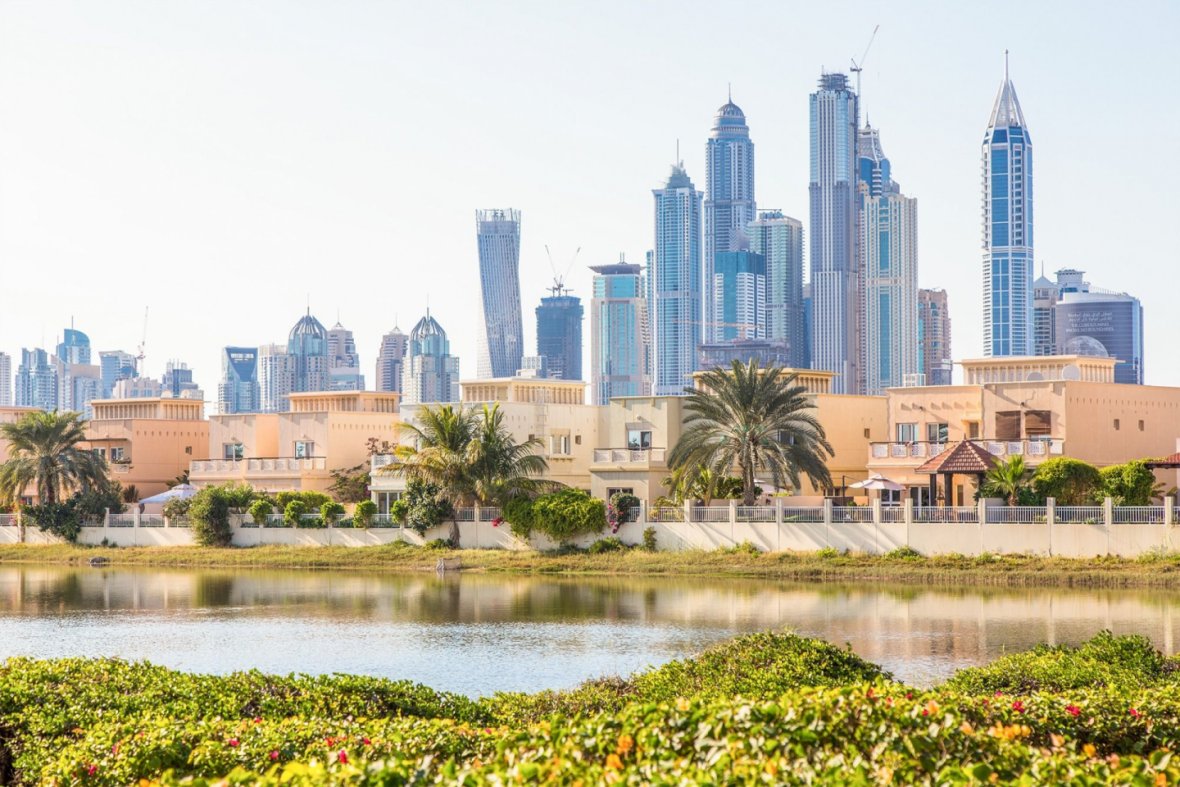 Image of The Meadows